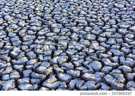 Broken dry soil in a Pampas lagoon, La Pampa province, Patagonia, Argentina. Broken dry soil in a Pampas lagoon, La Pampa province, Patagonia, Argentina. 107008397
