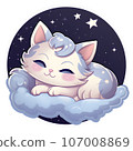 Cute cat 107008869