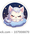 Cute cat 107008870