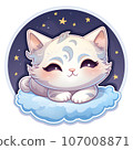 Cute cat 107008871