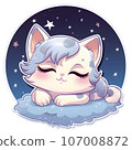 Cute cat 107008872