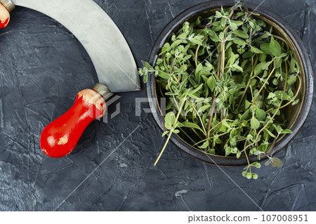 Fresh marjoram leaves and herb knife. 107008951