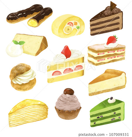 Cake illustration set Cake illustration set 107009331