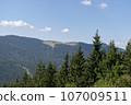Mountain landscape with forest in the Carpathian mountains of Ukraine. 107009511