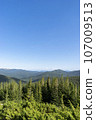 Mountain landscape with forest in the Carpathian mountains of Ukraine. 107009513
