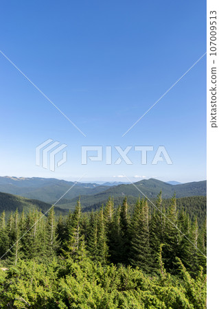 Mountain landscape with forest in the Carpathian mountains of Ukraine. 107009513