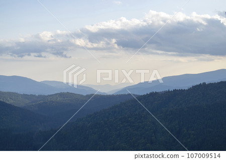 Mountain landscape with forest in the Carpathian mountains of Ukraine. 107009514