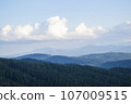 Mountain landscape with forest in the Carpathian mountains of Ukraine. 107009515