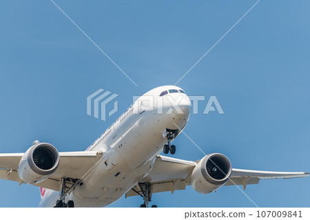 [日航飛機準備從城南島海濱公園上空降落] 107009841