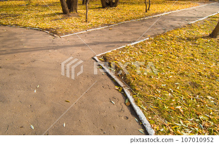 The crossroads of paths in the city autumn Park autumn The crossroads of paths in the city autumn Park autumn 107010952