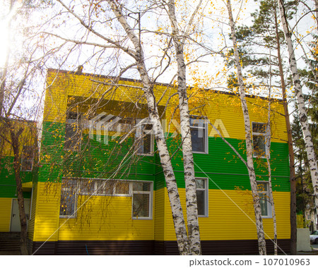 The two-storied building covered with beautiful yellow and green siding The two-storied building covered with beautiful yellow and green siding 107010963
