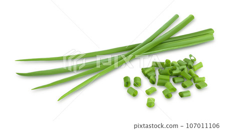 Green onion isolated on the white background with full depth of field Green onion isolated on the white background with full depth of field 107011106