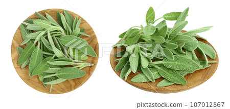 fresh sage herb in wooden bowl isolated on white background with full depth of field, Top view. Flat lay fresh sage herb in wooden bowl isolated on white background with full depth of field, Top view. Flat lay 107012867