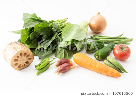 Vegetables collection white background Vegetables collection white background 107013800