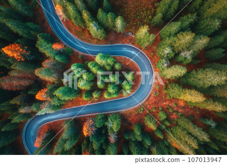 Aerial view of winding road in colorful autumn forest at sunrise Aerial view of winding road in colorful autumn forest at sunrise 107013947