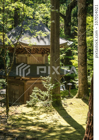 Fukui Double pagoda of Eiheiji Temple surrounded by summer maple leaves Fukui Double pagoda of Eiheiji Temple surrounded by summer maple leaves 107014021