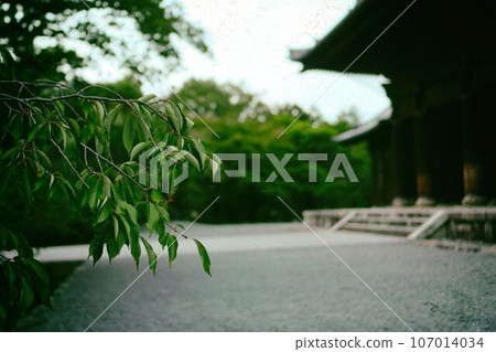 沒有人的旅遊景點 沒有人的旅遊景點 107014034