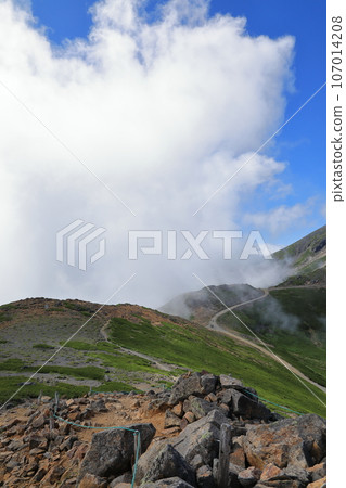 Summer scenery of Mt. Norikura (Mt. Fujimi / August 2023) Summer scenery of Mt. Norikura (Mt. Fujimi / August 2023) 107014208