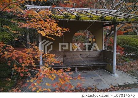 Autumn visit to the hospital 107014570
