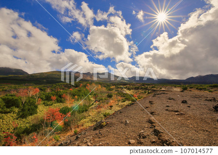 Autumn leaves of Tokachi-dake Mochidakedai (Hokkaido / Bieicho / Mochidakedai) 107014577