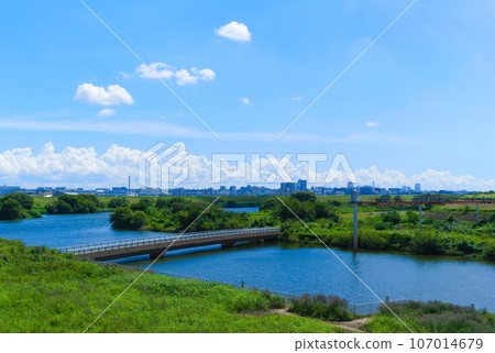 Around the Misato Drainage Pump Station on the right bank of Edogawa Cycling Road, Misato City, Saitama Prefecture September 2023 107014679