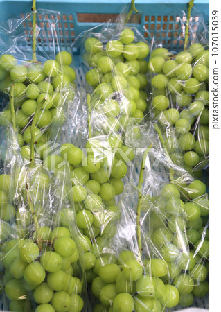 Peak period for grape shipping 107015039