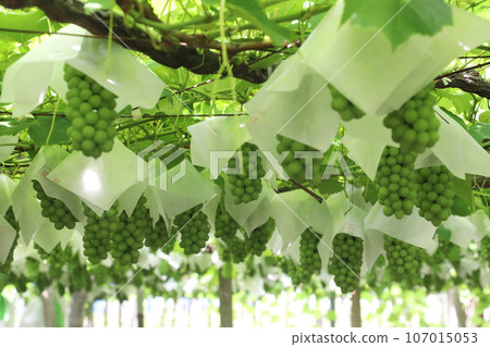 Delaware farm 107015053