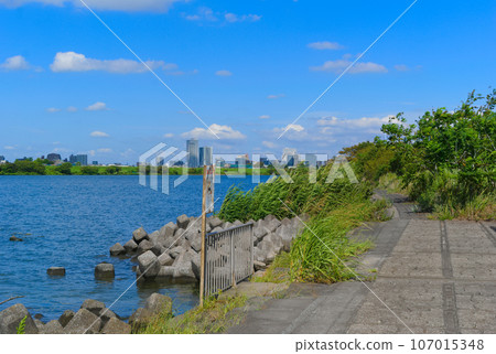 千葉縣市川市江戶川的釣魚點 2023 年 9 月 107015348