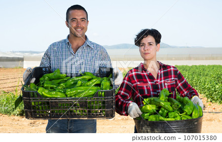 Positive farmers with crates of green pepper Positive farmers with crates of green pepper 107015380