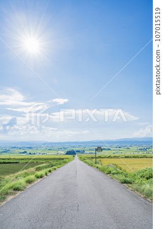 Koibito Saka in Kitakata City, Fukushima 107015519