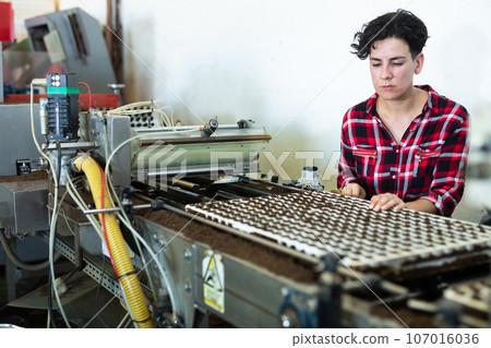 Woman working at conveyor in plant factory Woman working at conveyor in plant factory 107016036