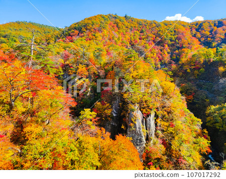 Naruko峽谷秋葉 107017292