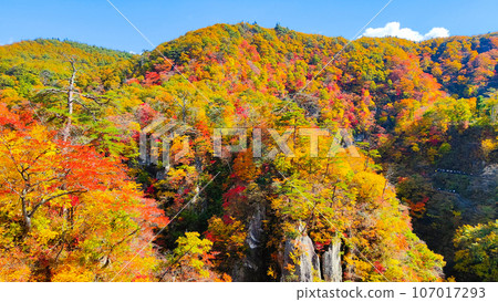 Naruko峽谷秋葉 107017293