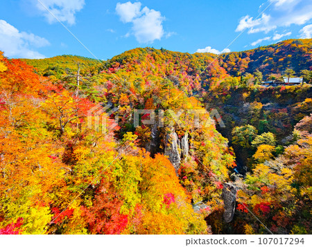 Naruko峽谷秋葉 107017294