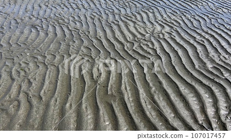 海洋自然藝術 107017457
