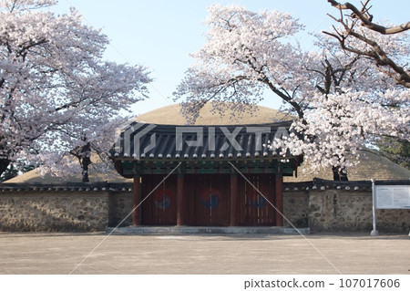 大陵苑,慶州古墓 大陵苑,慶州古墓 107017606