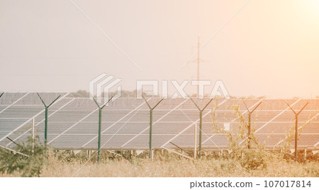 Large solar station with blue photovoltaic panels fenced with lattice and barbed wire. Producing clean energy from the sun and minimizing the carbon footprint. Large solar station with blue photovoltaic panels fenced with lattice and barbed wire. Producing clean energy from the sun and minimizing the carbon footprint. 107017814