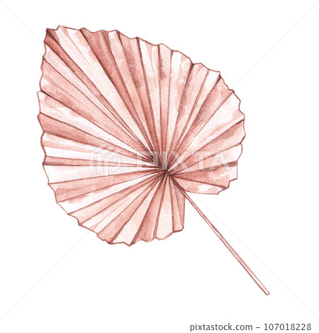 Hand drawn tropical plant leaf 107018228