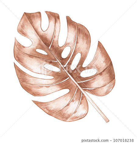 teeth plant Venus flytrap (Dionaea muscipula) 