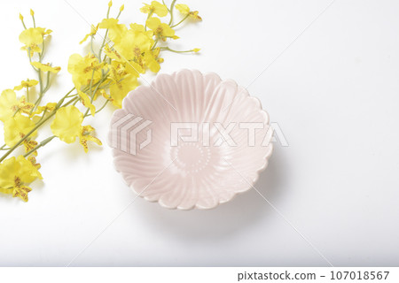 Japanese dish 107018567