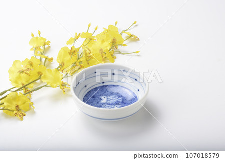 Japanese dish 107018579