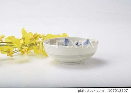 Japanese dish Japanese dish 107018597