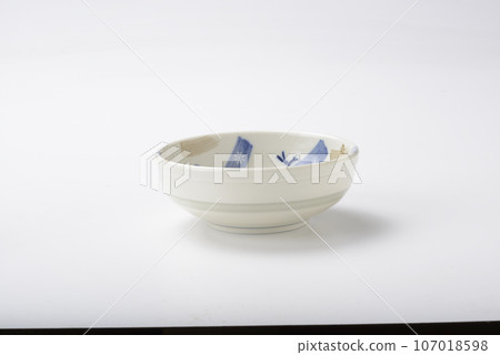 Japanese dish 107018598