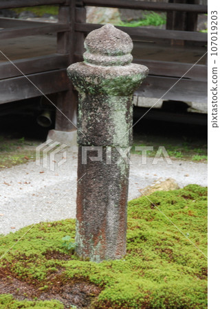 Stone pagoda and moss garden (Nanzenji Temple/Nanzenji Fukuchicho, Sakyo Ward, Kyoto City) 107019203