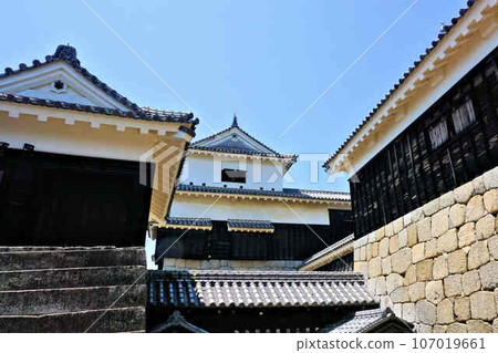 Matsuyama Castle 107019661