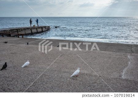 Gloomy autumn morning on the beach 107019814