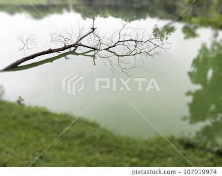 Evening cloudy sky reflected in lake Evening cloudy sky reflected in lake 107019974