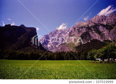 德國國王湖的綠色夏季景觀 德國國王湖的綠色夏季景觀 107019999