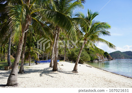 The beach The beach 107021631