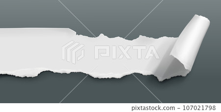 Rip paper page curl with torn edge vector sheet Rip paper page curl with torn edge vector sheet 107021798